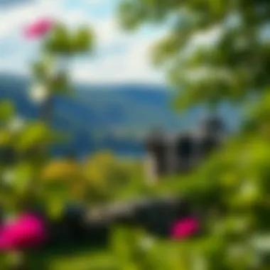 Scenic Surroundings Scenic view of surrounding natural beauty near the casino